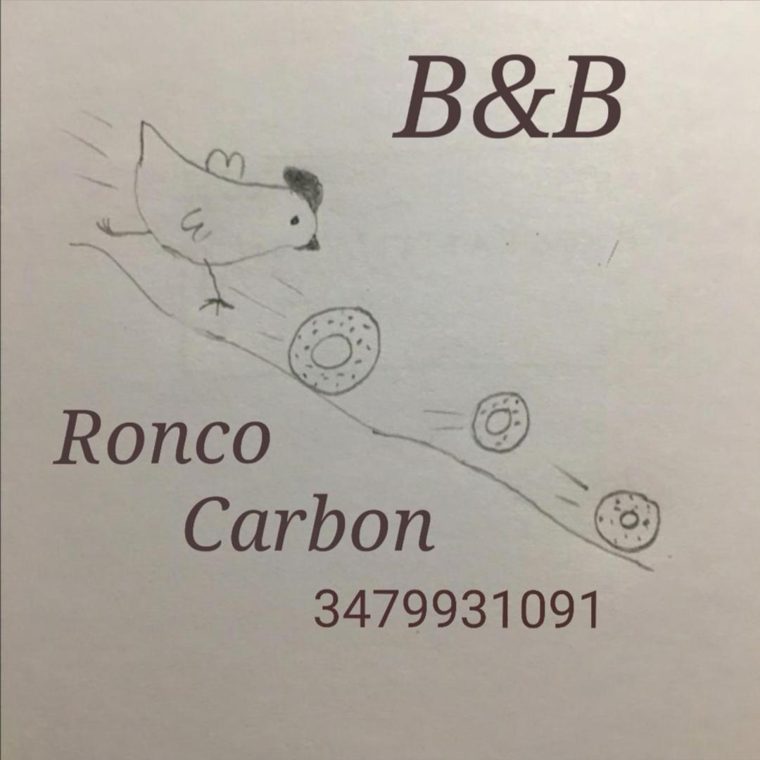 B&B Ronco Carbon 갈리오 외부 사진